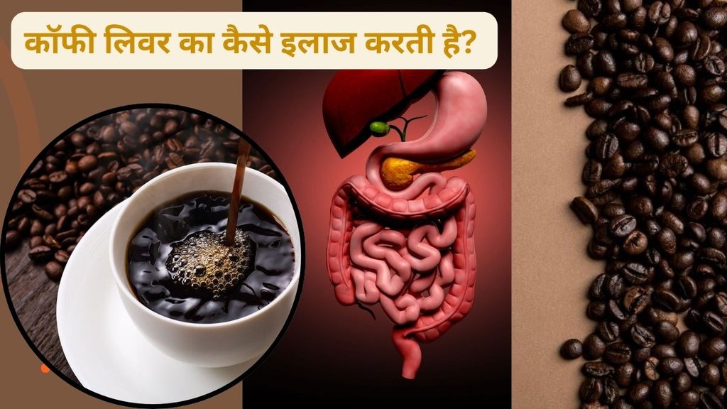 Coffee Benefits for Liver, How Your Liver May Benefit from Your Daily Coffee,Coffee and Fatty Liver Disease,Cirrhosis and Liver-Related Outcomes,