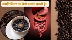 अगर आप रोज़ 1 कप कॉफी पिएं तो लिवर की सेहत पर कैसा होता है असर? जानिए