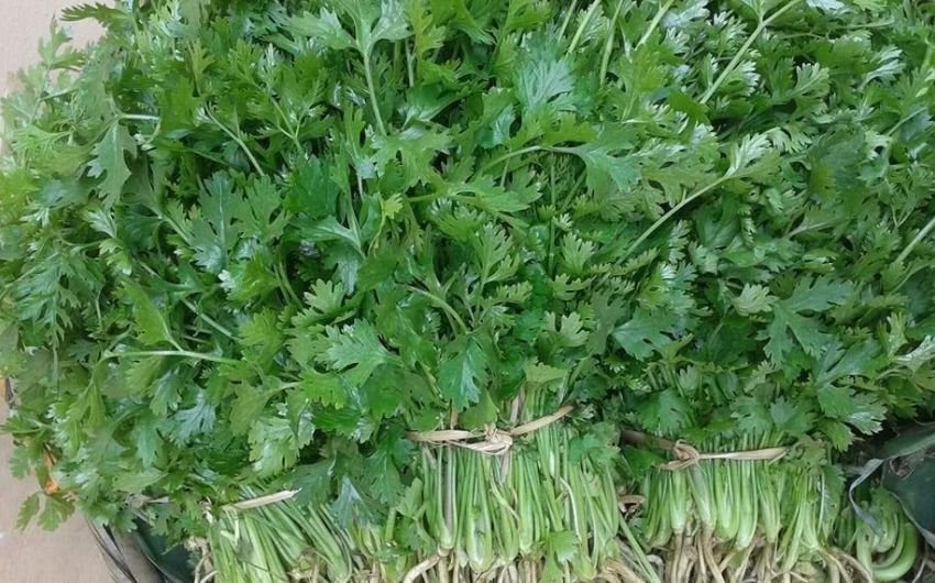 इसे आप सबसे पहले पेपर या टिश्यू पेपर में रोल कर लें। अब आप इसे किसी एयरटाइट कंटेनर या जिप लॉक बैग में डाल दें। इसके बाद आप इसे फ्रिज में रख सकते हैं। (Photo Source: Pinterest) सफेद बालों से आप भी हैं परेशान? कॉफी से इस तरह बनाएं नेचुरल हेयर डाई, कोयले जैसे काले होंगे बाल
