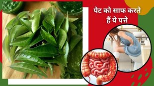 curry leaves benefits, curry leavs for constipation,Curry Leaves,Curry patte,Curry Leaves Benefits And Uses ,curry leaves for weight loss