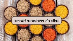 कब और कौन सी दाल खानी चाहिए? पोषण विशेषज्ञ से जानिए फायदे और किन लोगों को करना चाहिए परहेज