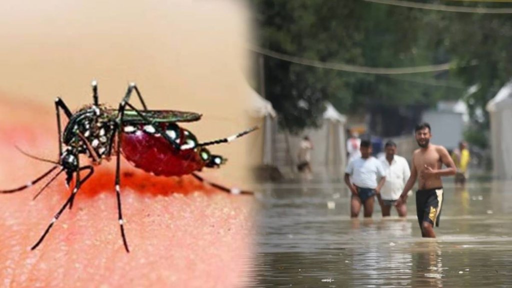 dengue, Delhi