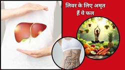 लिवर के फैट को काटते हैं ये 5 फल, जिगर के लोड को कम करने और फंक्शन में सुधार करने में कमाल हैं ये फ्रूट, Liver Detox भी होगा