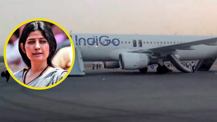 dimple yadav, indigo, dimple news