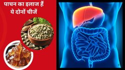 कब्ज़ से परेशान हैं तो खाने के बाद सौफ़ के साथ खाये ये 1 चीज़, खाया-पिया तुरंत पचेगा, बदहज़मी और ब्लोटिंग भी होगी कंट्रोल