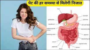 contaminated food, stomach infections, severe diarrhoea, viral gastroenteritis, food poisoning toxins, contaminated food can lead to stomach infections, food poisoning
