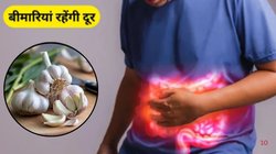 पेट और हड्डियो की दवा है लहसुन, रोज़ 3 कली खा लें तो सेहत पर अमृत का करता है काम, जानिये कैसे