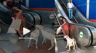 viral video, goat video viral, village woman in mall viral video