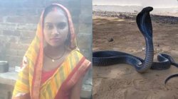 शाम 5 बजे मायके से विदा होकर ससुराल गई नई दुल्हन प्रियंका, रात में आई मौत की खबर, कहानी में सांप का जिक्र, बात कुछ और है?