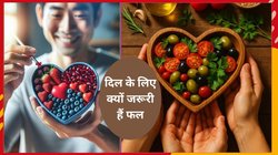 दिल के लिए दवा का काम करते हैं ये 5 फल, किसी 1 को रोज खा लें तो नसों में जमा LDL कोलेस्ट्रॉल होगा मेल्ट, देखिए फ्रूट लिस्ट