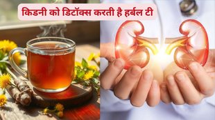 herbal teas for kidney health,best teas for kidneys,kidney-friendly herbal drinks,natural teas for kidney function,teas that detox kidneys