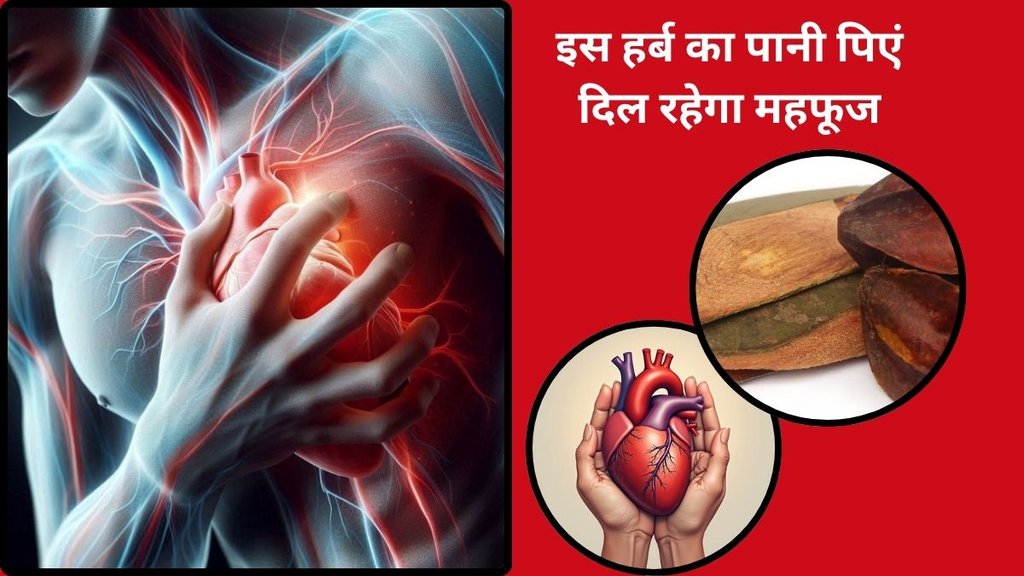 Benefits of Arjuna Bark,Home remedy for heart blockage, How to make Arjuna bark decoction,Arjuna bark use in heart disease,