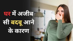 घर में घुसते ही अजीब सी बदबू क्यों आती है? कारण जानकर इन उपायों से करें दूर