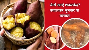 Sweet potato, Sweet potato benefit, sweet potato side effects, shakarkand in hindi, Shakarkand ke fayde, sweet potato protein,