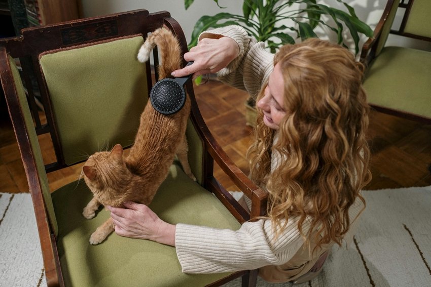how to talk to pets