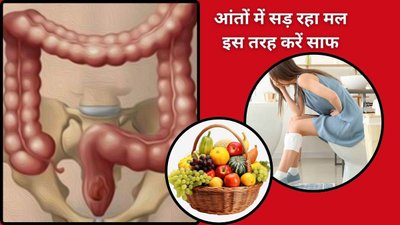 डाइट में इन 5 Magnesium से भरपूर फ्रूट खाएं पाचन हो जाएगा ठीक, देखिए फ्रूट लिस्ट