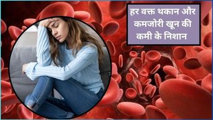 iron deficiency anaemia, fruits for anemi, superfruit for anemia, superfruit for iron deficiency, natural supplement for anemia