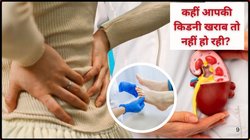 Kidney Damage Symptoms: हाथ-पैरों में दिखने वाले ये लक्षण बताते हैं कि आप की ठप पड़ रही है किडनी, एक्सपर्ट ने बताएं Kidney Damage के ये 6 संकेत, जानिए कैसे करें पहचान