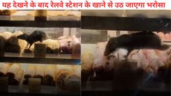 रेलवे स्टेशन के फूड स्टॉल में घूम रहे चूहे, Viral Video देखने के बाद कुछ खाने से पहले 100 बार सोचेंगे, आप भी देखें