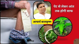 constipation cure, constipation relief, how to cure constipation, best leaves for intestine clean, neem health benefits,