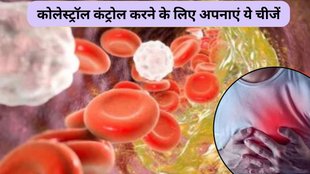healthy weight, cholesterol management, LDL, triglycerides, high cholesterol, prevent blood clots, plant-based diet, natural blood thinners, Mediterranean diet benefits