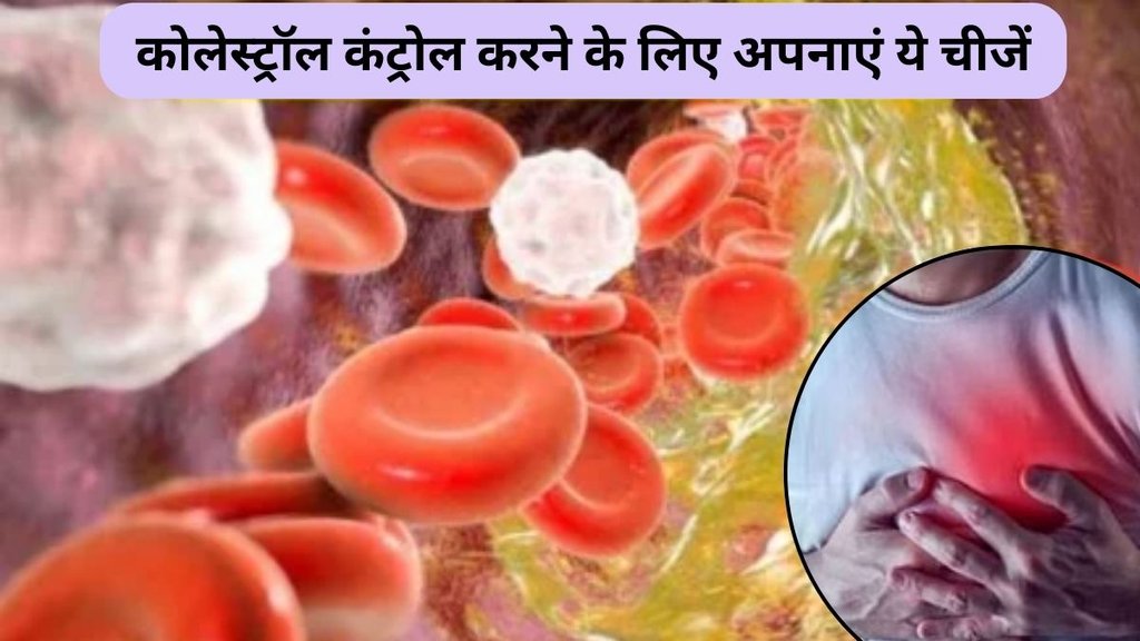 healthy weight, cholesterol management, LDL, triglycerides, high cholesterol, prevent blood clots, plant-based diet, natural blood thinners, Mediterranean diet benefits
