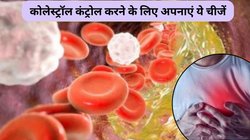 कोलेस्ट्रोल को करना है कम, डेली रूटीन में करें ये 5 बदलाव, सेहत को भी मिलेंगे कई फायदे