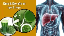 Karela juice vs Neem juice: लिवर को डिटॉक्स करने के लिए नीम का जूस पिएं या फिर करेला का रस, किसी पीने से अंदर से खींचकर निकलती हैं गंदगी, शुगर भी होता है कम