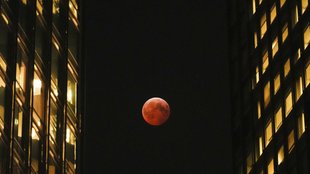 lunar eclipse 2025, Blood moon, Student know about lunar eclipse