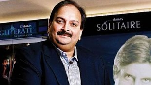 Mehul Choksi extradition, pnb scam, pnb scam accused,