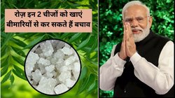 सेहत के लिए अमृत है नीम के साथ मिश्री का सेवन, PM Modi भी रोज़ खाते हैं, जानिए ये 2 चीजें कैसे सेहत पर करती हैं दवा का काम