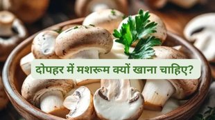 mushroom, health news, weight loss, weight loss foods, hearth health, nutritious food, mushroom benefits from expert,What organ is mushroom good for?Is mushroom heat or cold,Is mushroom vegetable good for heart,