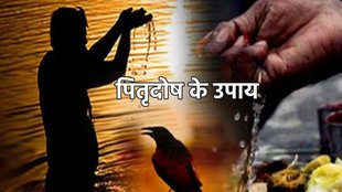 Pitru Paksha 2025, Pitru Paksha 2025 remedies, sarvapitri amavasya 2025, kab hai sarvapitri amavasya 2025, sarvapitri amavasya 2025 surya grahan, pitra dosh ke upay, pitra dosh ke upay in hindi, pitra dosh upchar,Pitru dosh, what is pitru dosh, pitru dosh remedies, pitra dosh nivaran, pitru dosh solutions, pitru dosh in astrology, pitru dosh effects, pitru dosh remedies, simple remedies pitru dosh, पितृ दोष उपाय, पितर दोष उपाय, पितृ दोष के उपाय, pitra dosh 2025, pitra dosh 2025 upay, pitra dosh 2025 remedies