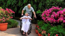 पटना हाई कोर्ट ने कांग्रेस से कहा- पीएम मोदी की मां का AI वीडियो हटाओ