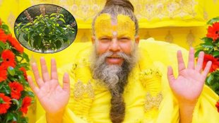bhajan marg Shri Hit Premanand Govind Sharan Ji Maharaj , tulsi niyam, ekadashi tulsi, ekadashi ko tulsi me jal chadaye ki nahi, ekadashi ko tulsi ko chhuye ki nahi, premanand maharaj tulsi niyam, premanand maharaj ekadashi niyam, प्रेमानंद महाराज, वृंदावन, Bhajan marg, भजन मार्ग, premanand ji maharaj,premanand ji maharaj vani, religion news,, How to become rich, premanand ji maharaj, dhan Prapti ke Upay, Premanand Ji Maharaj Ke Vichaar, premanand ji maharaj vrindavan, premanand maharaj ji ka pravachan, motivational quotes in hindi, Premanand Ji dhan ke upay, premanand ji maharaj kyon famous, Premanand Ji Maharaj latest news, प्रेमांनद जी महाराज, जन्मदिन पर क्या करें, जन्मदिन कैसे मनाएं, प्याज, लहसुन, सावन 2025, sawan 2025, शिवलिंग, महिलाएं शिवलिंग छुएं, shivling, sawan, temple, घर का मंदिर