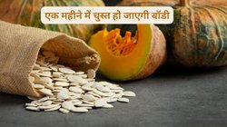 ये सीड्स नहीं बल्कि सेहत के लिए ख़रा सोना हैं, रोज 1 मुट्ठी खाने से बॉडी में दिखेंगे चमत्कार, आयुर्वेदिक एक्सपर्ट ने बताया इन्हें अमृत