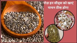 पेट की समस्याओं में कारगर साबित हो सकते हैं ये 5 बीज, कब्ज दूर करने के लिए डाइट में ऐसे करें शामिल