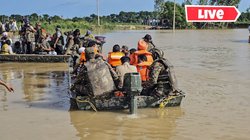 Punjab Flood LIVE: पंजाब में बाढ़ से हाहाकार, 40 से ज्यादा लोगों की मौत