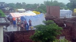 Punjab Flood: ‘घर और मवेशी नहीं छोड़ेंगे, चाहे कुछ भी हो जाए’, पंजाब में छतों पर रह रहे बाढ़ पीड़ित