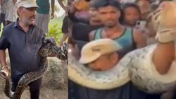 20 फुट लंबे अजगर को पकड़ शख्स बता रहा था यह खतरनाक होता है, तब तक सांप ने कर दिया खेल, उसे ही जकड़ लिया और.., Video Viral