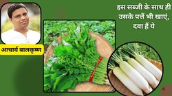 सेहत के लिए अमृत है ये सब्जी, पत्तों के साथ खाएंगे तो पाचन की बन जाएगी दवा, जानिये फायदे