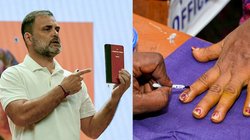 EXPLAINED: वोटर लिस्ट से कौन डिलीट करवा सकता है नाम? जानें क्या है पूरी प्रक्रिया