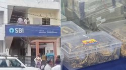 एसबीआई बैंक में करोड़ों की चोरी, उड़ा ले गए सारा नकदी-सोना, तरीका जानकर चकरा जाएगा सिर, मास्टमाइंड को पहचान सभी चौंके
