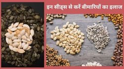 इन 5 सीड्स को खाना कर दें शुरू, पाचन और ब्लड शुगर रहेगा कंट्रोल, गैस्ट्रोएंटेरोलॉजिस्ट ने बताए 5 फायदे