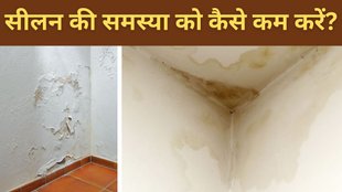 Permanent solution for damp walls | How to treat damp walls internally | seelan ko kaise roke