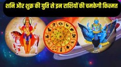 दिवाली से पहले शनि और शुक्र का बनेगा दुर्लभ संयोग, इन राशियों के शुरू होंगे अच्छे दिन, करियर और कारोबार में तरक्की के योग