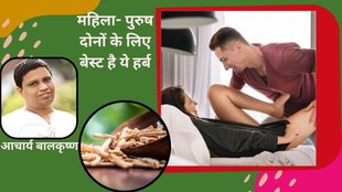 Shatavari Benefits For Female Fertility, Shatavari For Women Health, Shatavari Powder Benefits For Women Health, Benefits Of Shatavari For Women Health