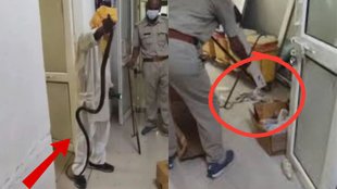 snake, Jhansi news, Jhansi Medical College viral news