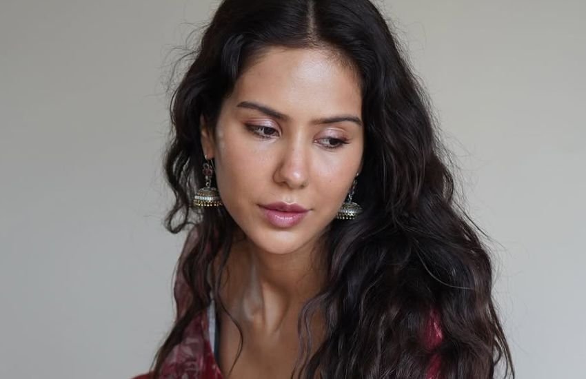 Sonam Bajwa Actress