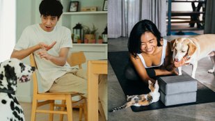 telepathy with dogs and cats